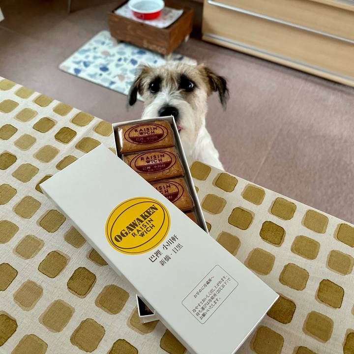 46021029 3413 4ba9 9e43 9cb3bce98dca 1694841682407