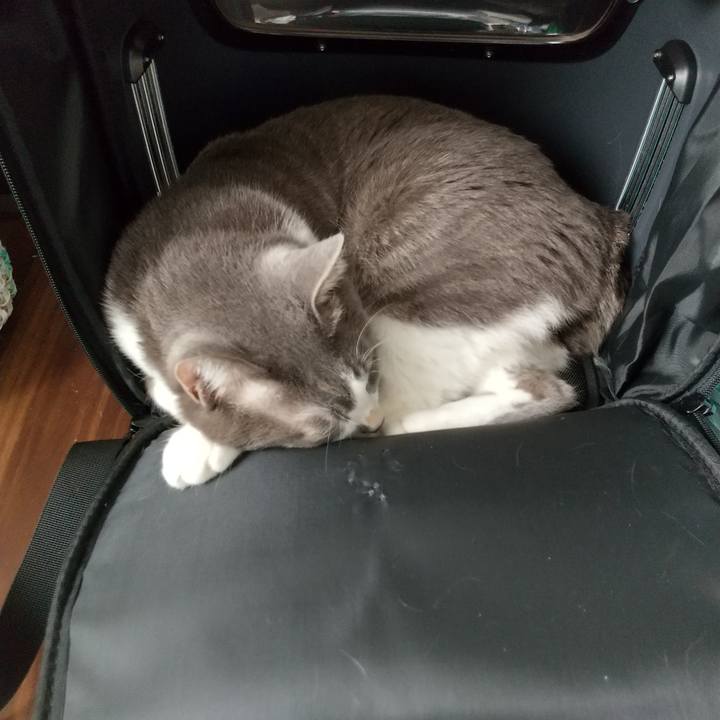 46022001 d130 4d85 a7bb 12248d8c2468 1638599705147