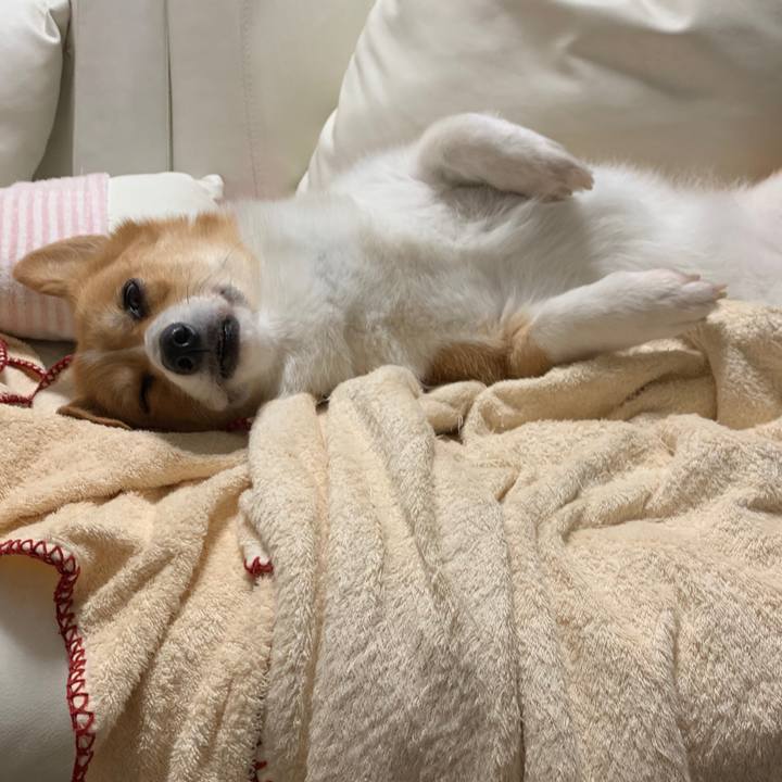 46025280 aa96 402e 893d d0c3b0b0fdba 1560134670518