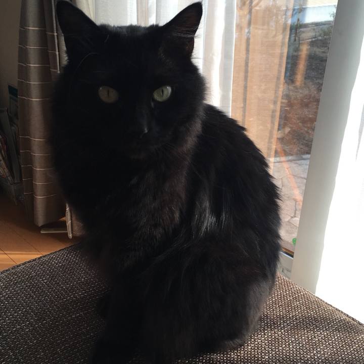 4602633c acb9 4a7c 8e6a 10665c34b5cc 1523259069594