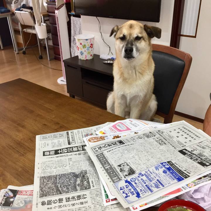 46026484 96a8 460c b250 9fd7373005a1 1531351506846