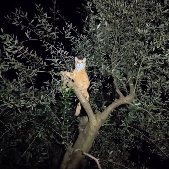 4602703c 85f4 4971 8050 3ec798e31996 1770982583086