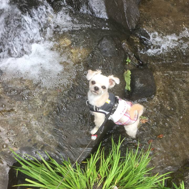 4603089f b1e9 4b20 a63e 1a34a9e9d85a 1559361180105