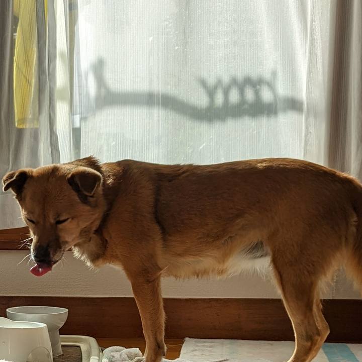 4603288e 2736 4c25 a022 8d0aa15dd72e 1667616321805