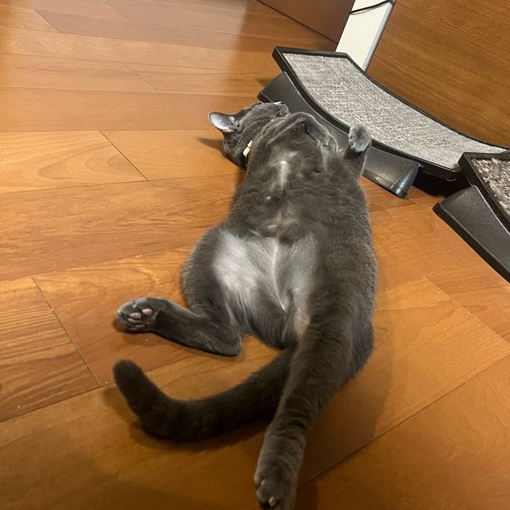 46032f1b d3f0 4102 a7a5 5ab0096acf96 1726571083325