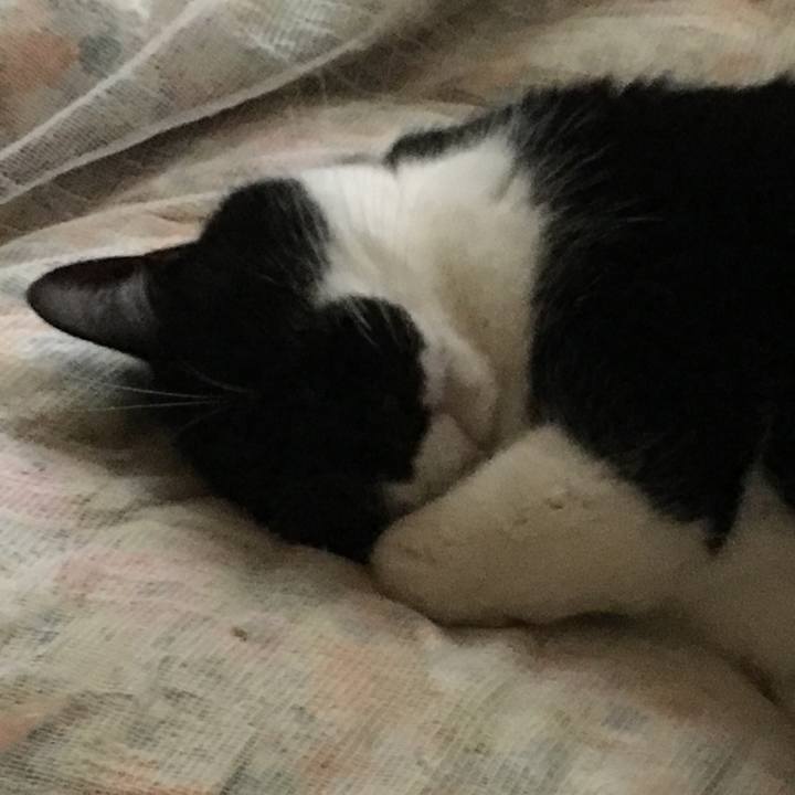 46036bab 60f3 41a4 841f c0c71259a913 1552962802366