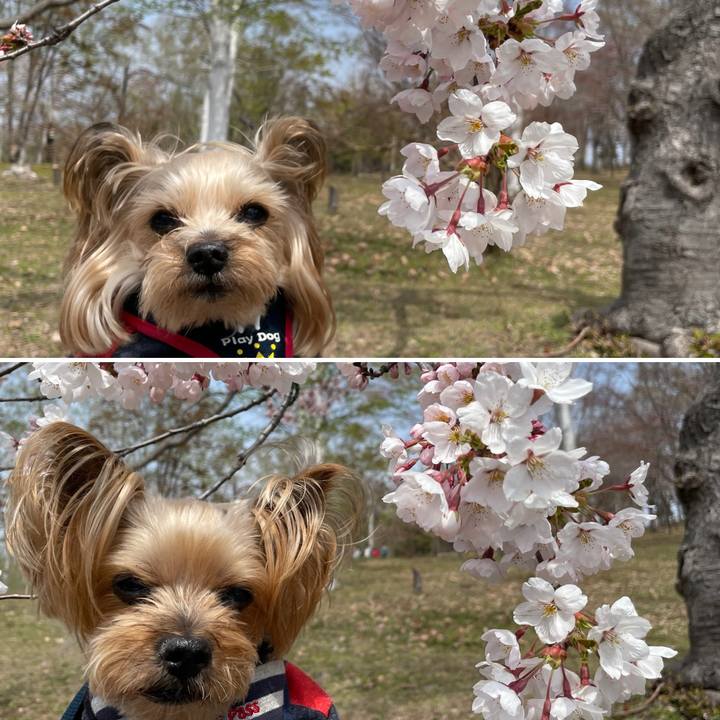 46040081 45e3 4c29 b6c7 5f454f1567da 1651920736769