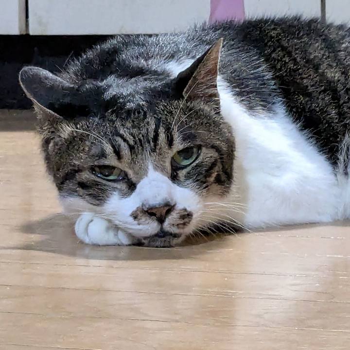 46043264 56b6 4df8 bbe0 07e8b06331e9 1753549228757