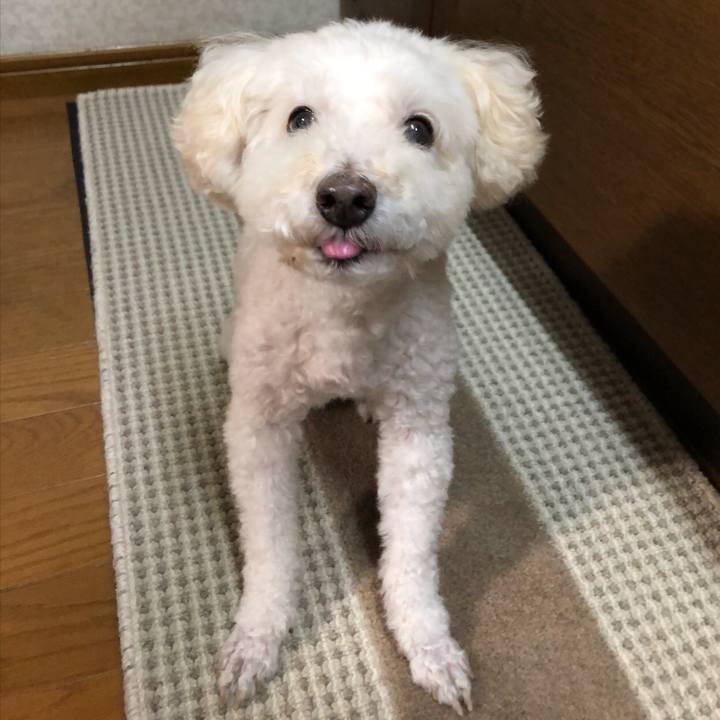 46044a49 3451 4166 b7f8 1551bc2b4392 1537185486231