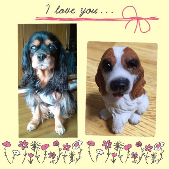 46044b1e a912 4225 a058 1b517dbe1d6a 1525404504683