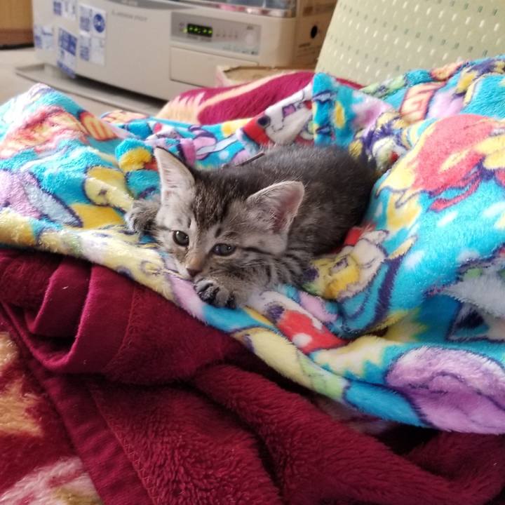 460463f2 14a9 43c6 b40b daf4fbb6eb79 1661352844974