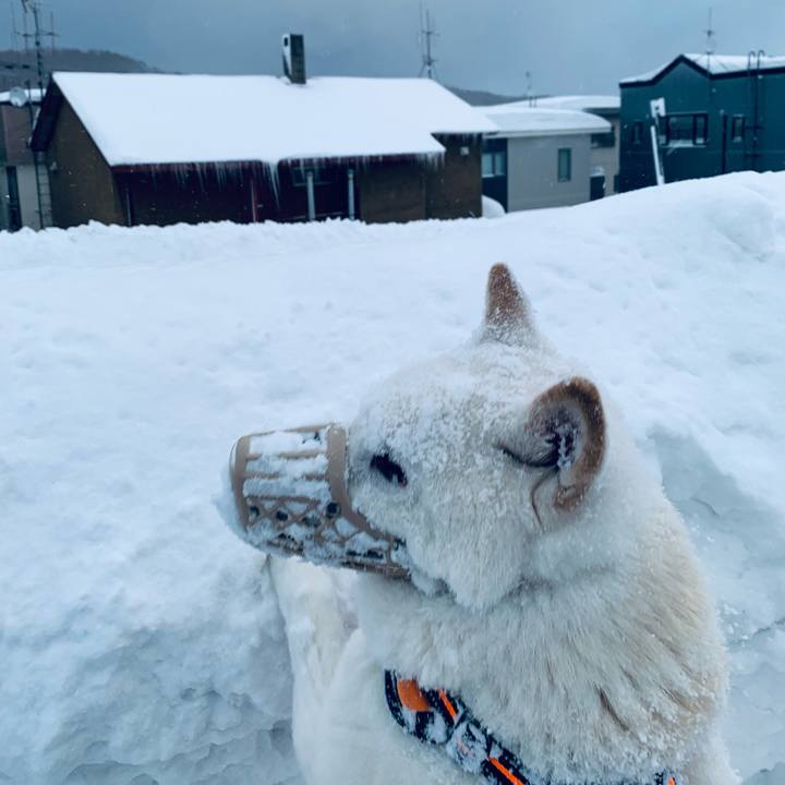 460466cf af6a 47e9 a935 f639fc41d6d8 1675378204096