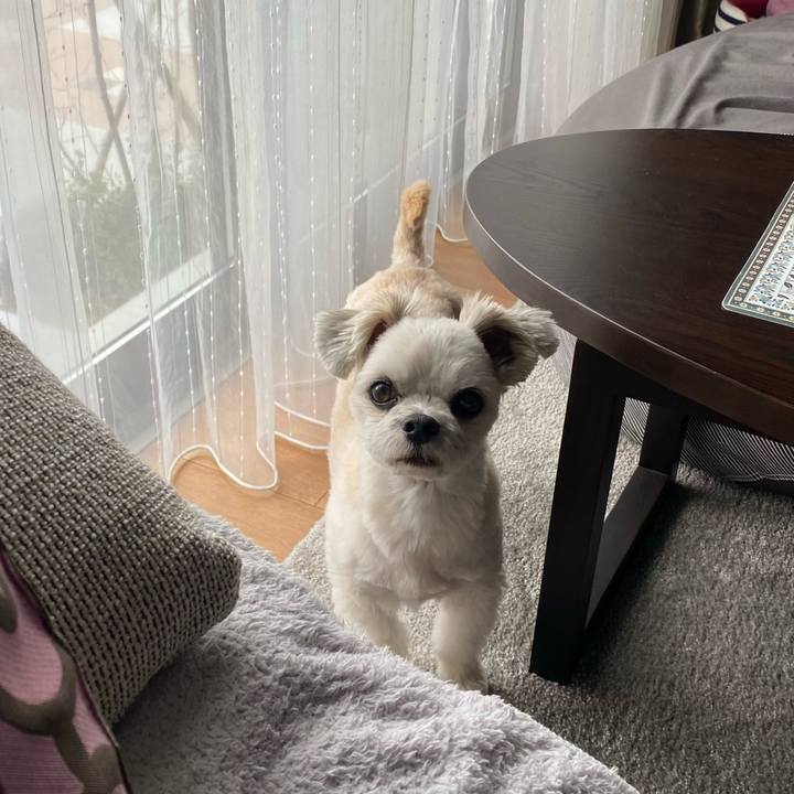 460490a6 9b62 4fbe 82e2 5d23d04431bb 1641904239902