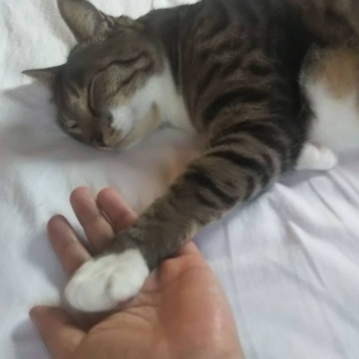 4604b3f1 b377 4042 b204 acb6d3ca8f2a 1627074790067