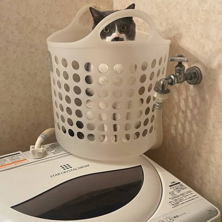 4604b814 1bc0 477c a9bc e5237f0a38cb 1635730262384