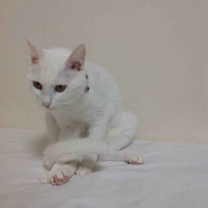 4604c0fa a06d 4ee3 8ff0 43f0273c9952 1629925437141