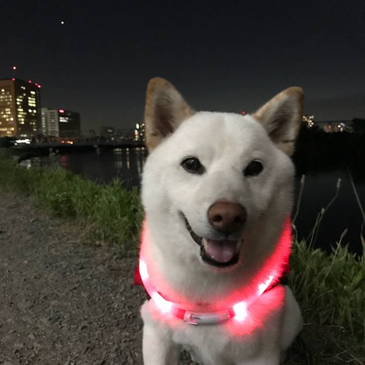 4604d344 9fcd 4e35 ae9f ddff42eae539 1530529650430