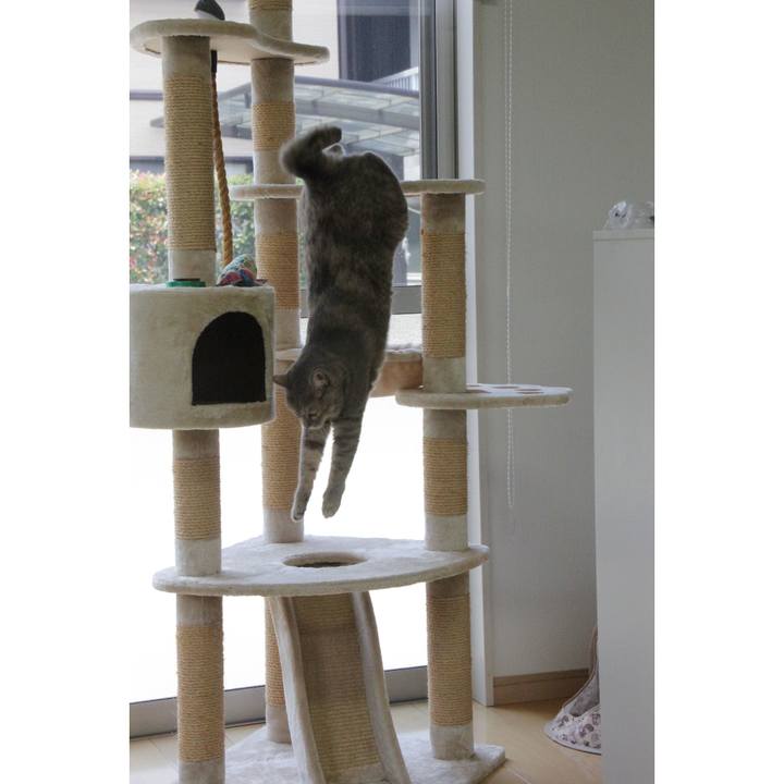 4604d6be e793 417d af5b ddb2de102f70 1687147035086