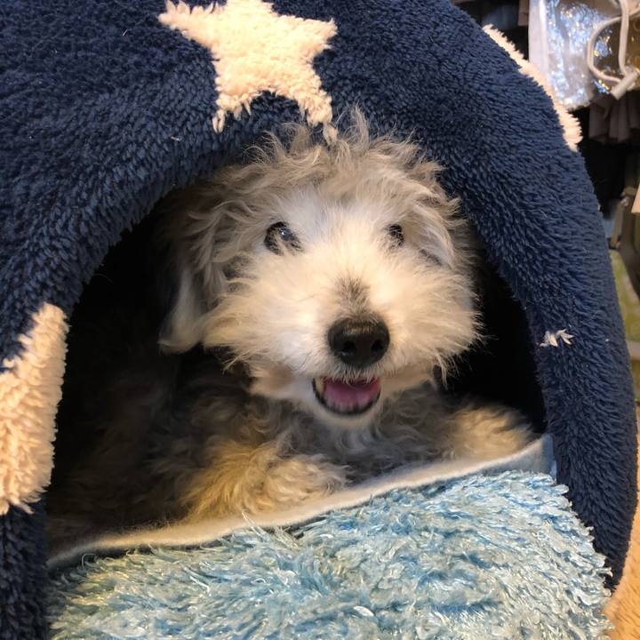 4604e99c 051c 4a05 a36d 98a476618631 1615332798051