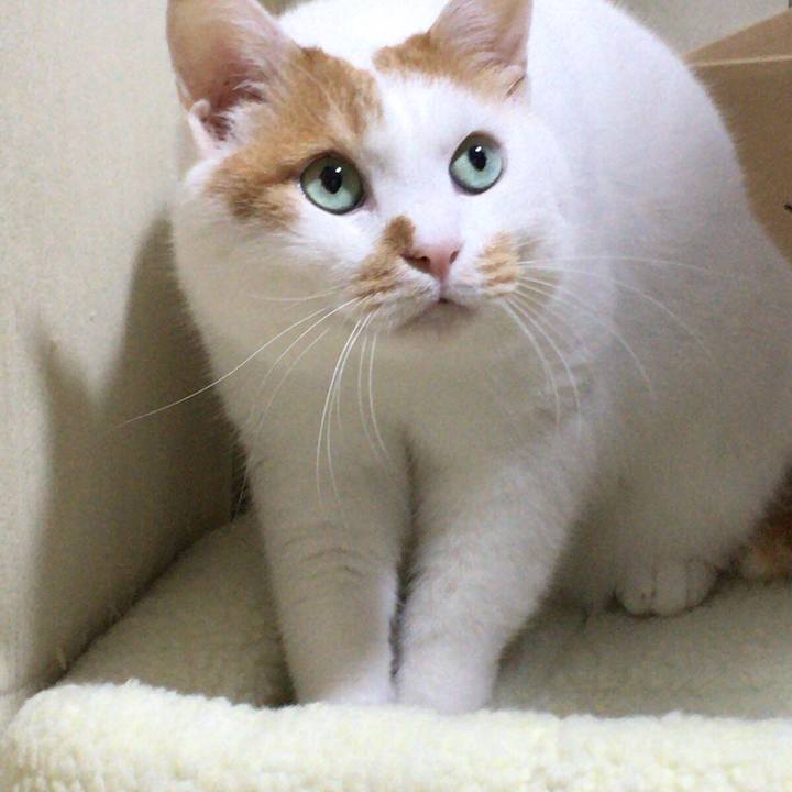 4604f586 c0c1 468f 94f7 76fa3737f6a7 1508064354354