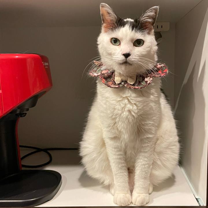 46052391 64e9 4761 835a 6f48697b0b35 1684932666004