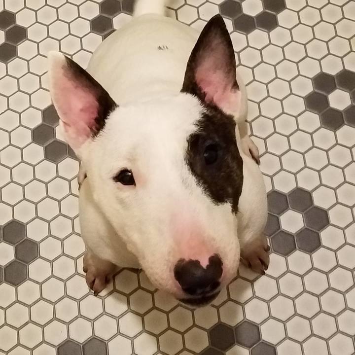 460539d6 593f 4725 b6d1 adeaefe09da5 1550121098076