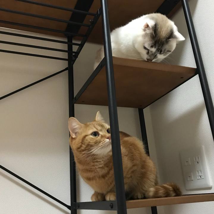 46055ffe 9798 4c93 9098 19839a820919 1522559389709