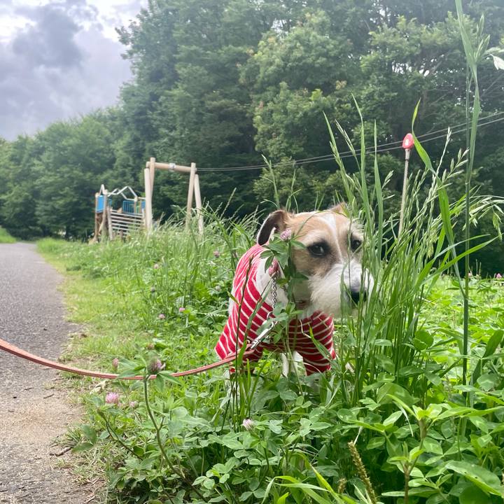 4605667e 2f07 4d78 976f 80d0e2d8a5ff 1624434335055