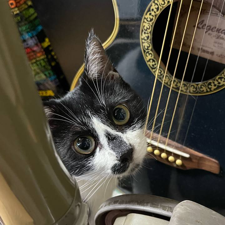 46057859 631a 488d 9402 88be57616df1 1753224998417