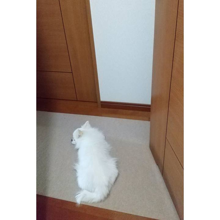 4605954f d738 4a13 8d51 8eb6fc337970 1664748309493