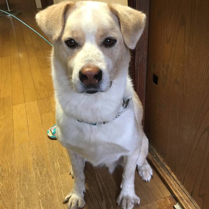 4605a00f 9f0b 4c7d be68 664eccc1a408 1530973018062