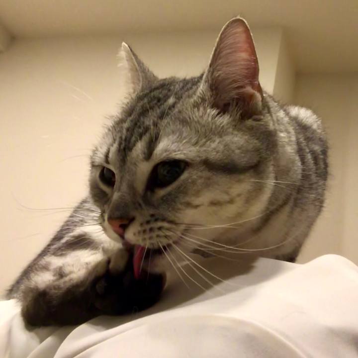 4605d68a 2d46 418b 8c40 1f13a16368ab 1520290345597