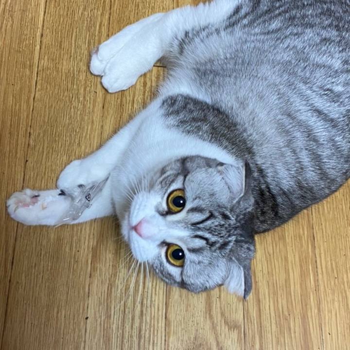 4605ef8e 60a2 43cb 9ab3 9dec121b704e 1616325756807