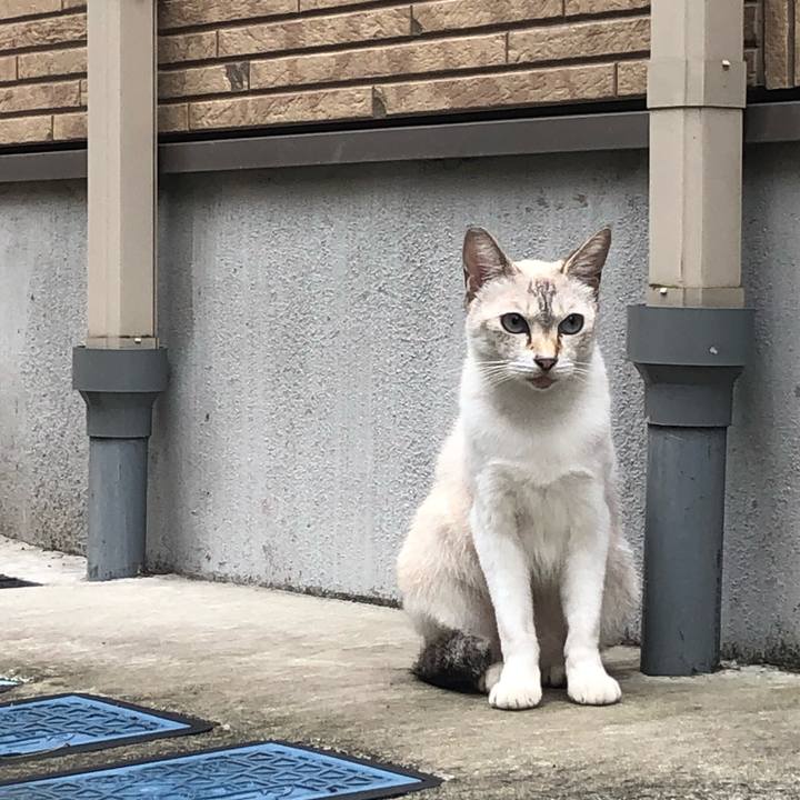 460624c3 2e14 4149 ae26 f764308b4688 1599979367295