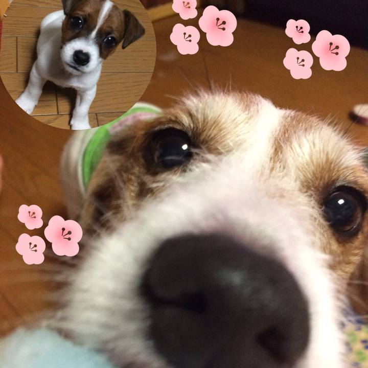 46064588 d0c2 48cd be0b 27f059773778 1528187257607