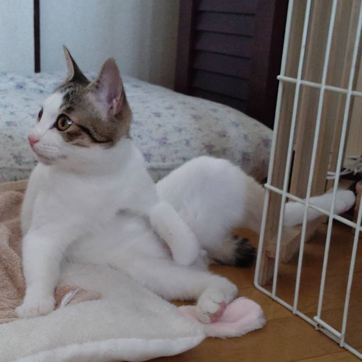 46066328 6de9 4617 aa47 6091ea39a288 1640911419984