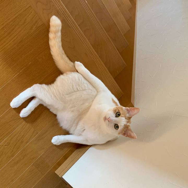 46067c88 a455 4302 8176 bec7115432c5 1626098259251