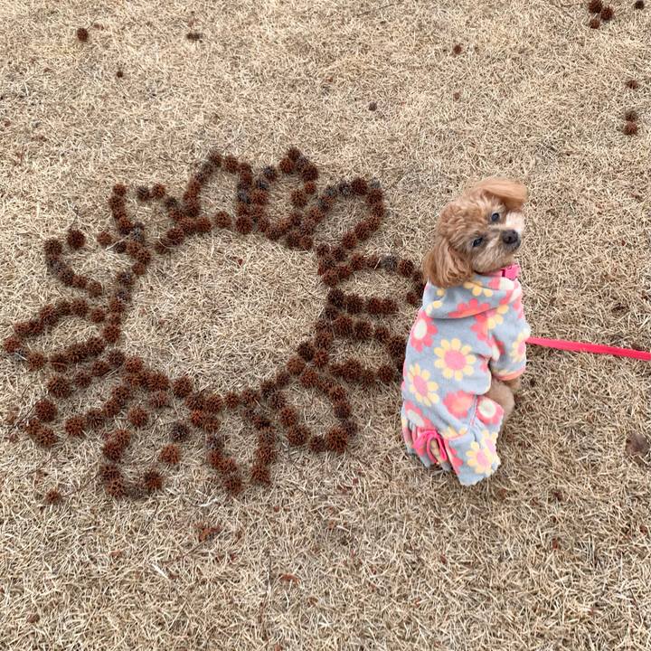 46067dd9 c50e 4a23 a6d3 62be07398707 1769563819212