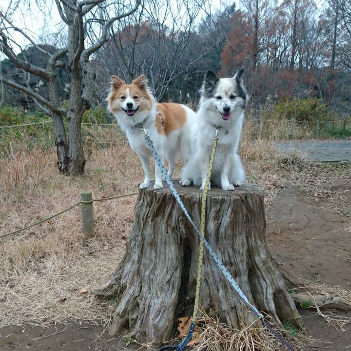 46068a9a ca82 4c52 8780 9043434db752 1577143368909