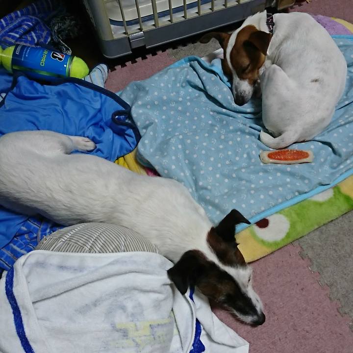 46069a5a f9ff 4683 bed0 97ec521421e8 1534339408401