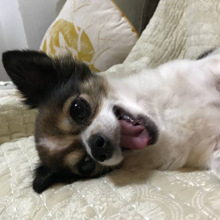 4606abea 7395 4785 a172 e8d801c77209 1538053476790