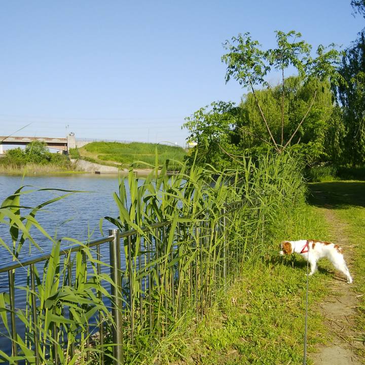 4606f6bd 79c5 4fd0 9a97 62dbcb5bee5d 1525510566323