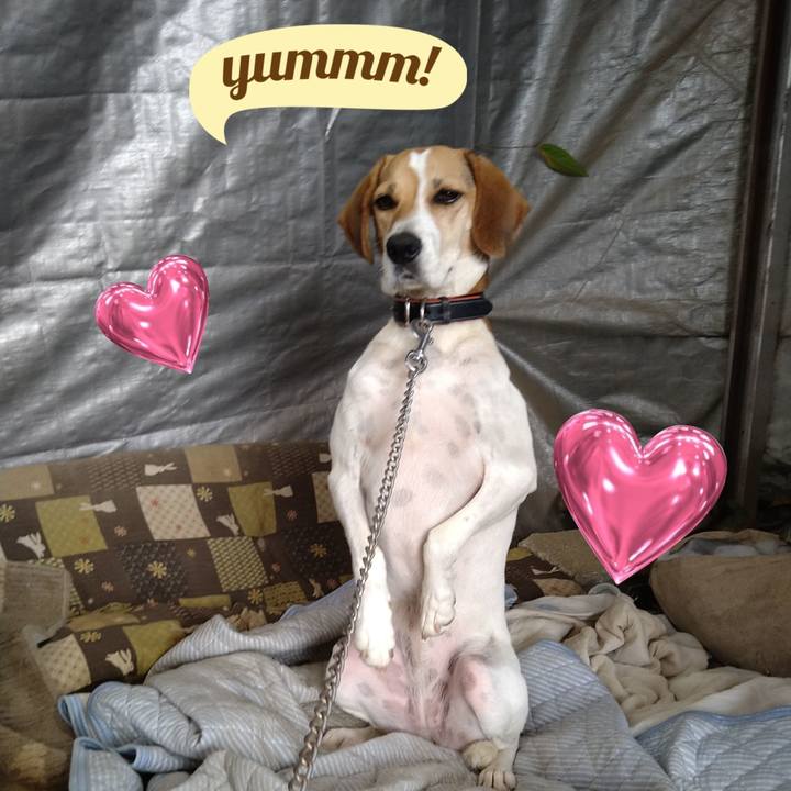 4606f80d 645f 4301 9662 0bac00026cdf 1632984061170