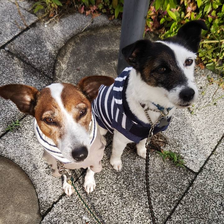 46070bcc 585b 4720 8539 9750c7e27d99 1746914335802