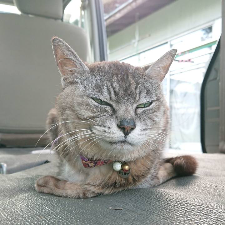 460725b5 bbc0 415d 8e35 8debadb53e32 1596185623059