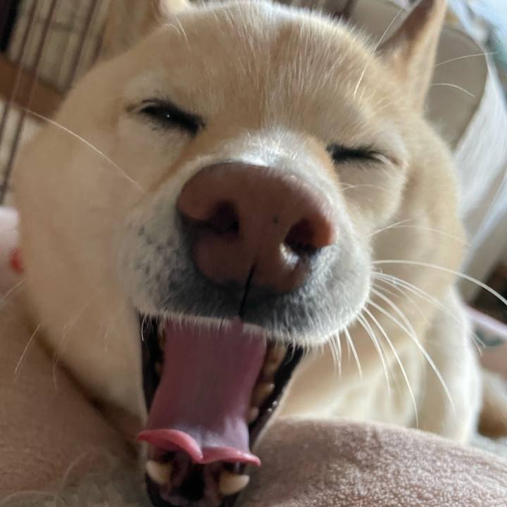 46072d2b 643e 471c b53c 3a226bcbf03d 1713511100911