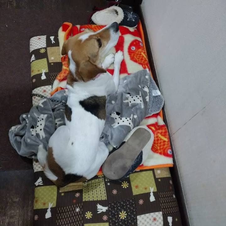 4607454e e7f0 4105 9f8c 861215d2bb77 1580641692284