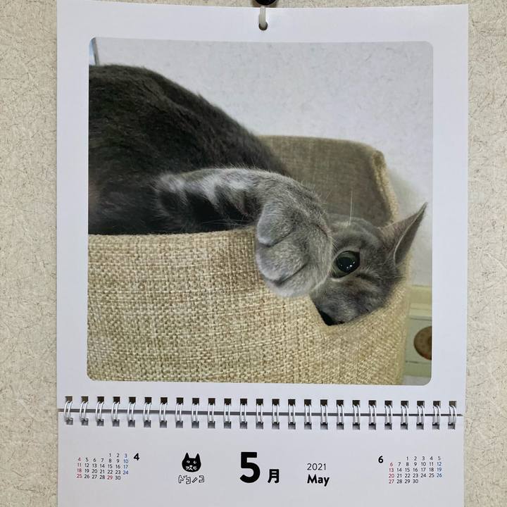 4607769b bc3f 4476 a022 c2d44dc4dfc9 1619829833863