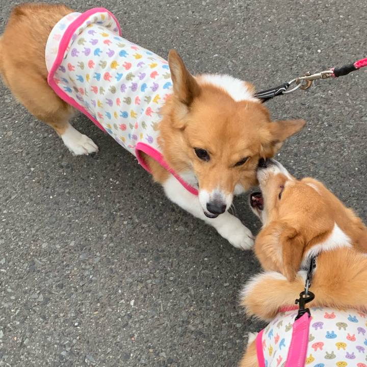 4607bece 7776 4f15 90e1 a3bf95085e7d 1591910882562