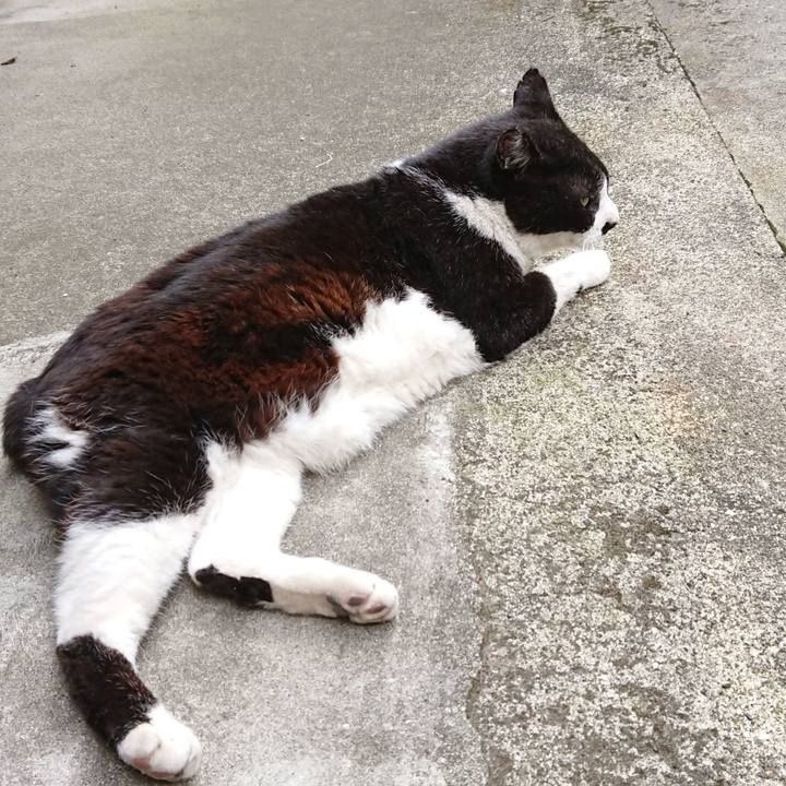 4608070e 1a71 42ee 8c6c b015aa7d5a3f 1621050638975